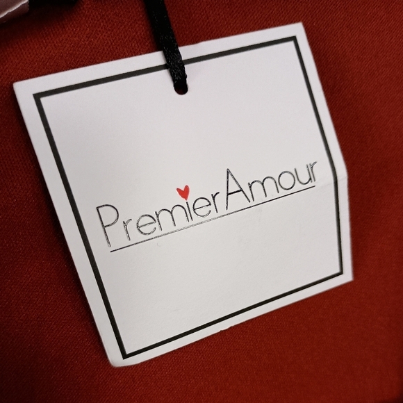 NWT Premier Amour Midi Dress in Merlot Size 16 - Picture 6 of 8